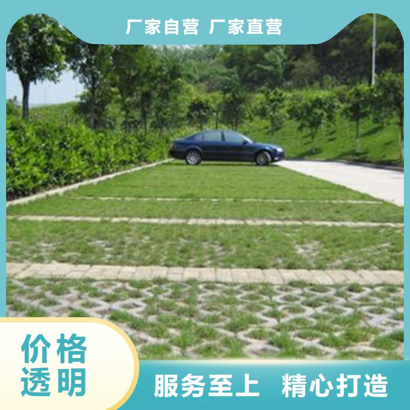 植草格蜂巢格室出货快