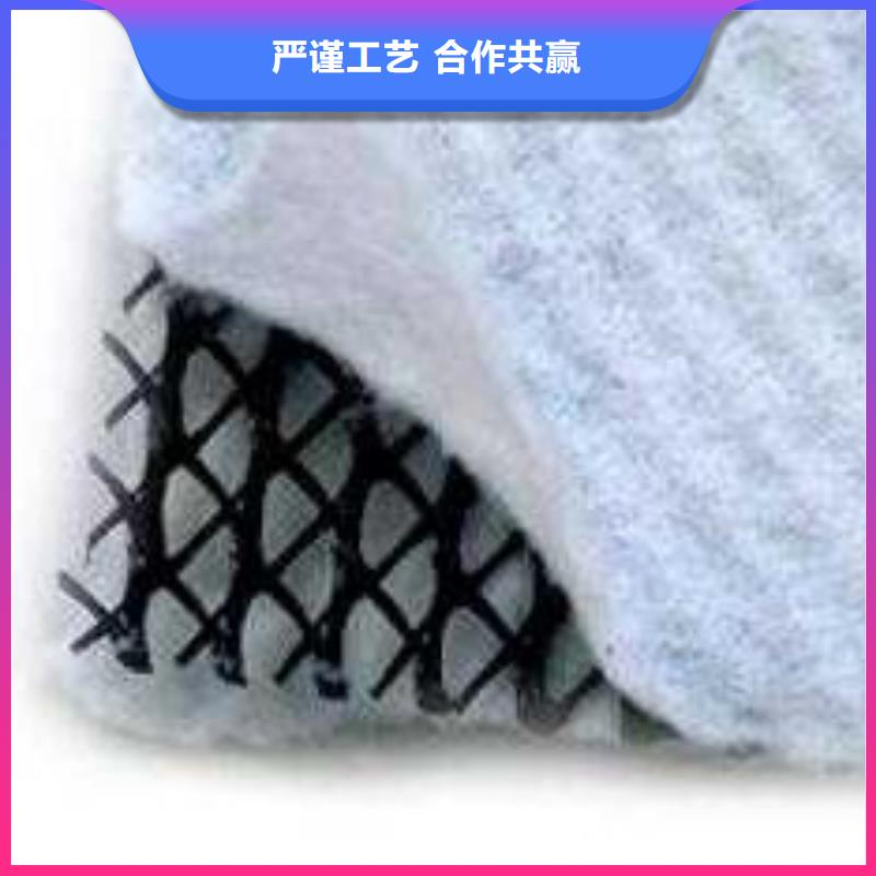 三维复合排水网-土工席垫等土工材料生产基地-山东亿路通