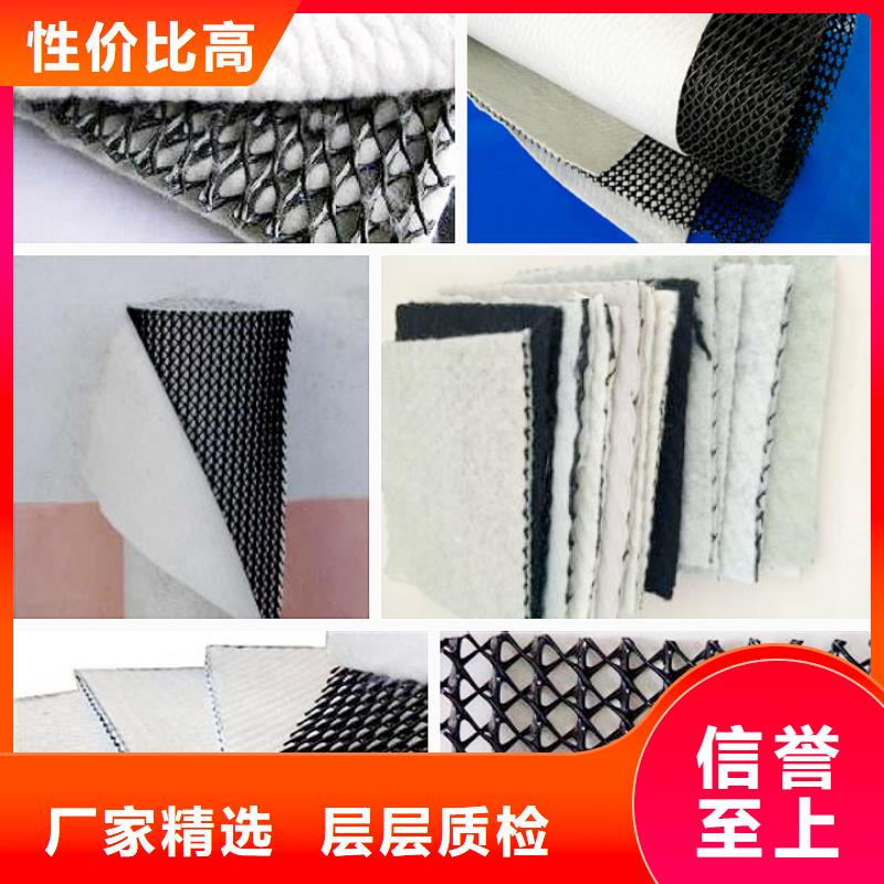 塑料排水网_三维土工排水板_排水网_三维排水网_三维复合排水网