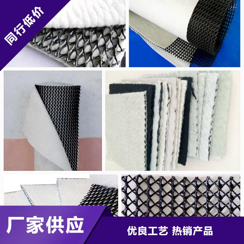 三维复合排水网聚乙烯土工膜欢迎新老客户垂询