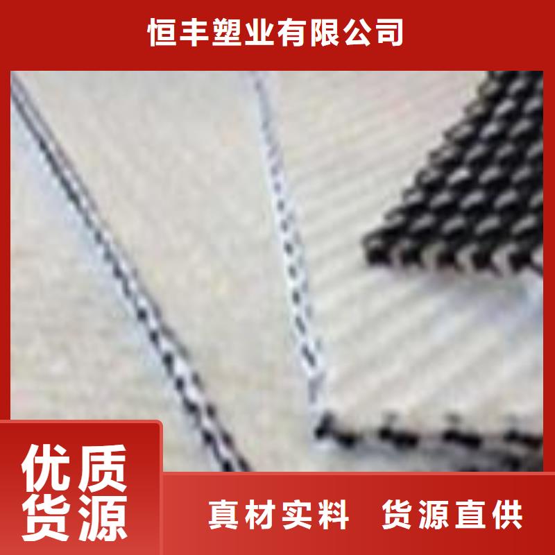 三维复合排水网厂家地址】