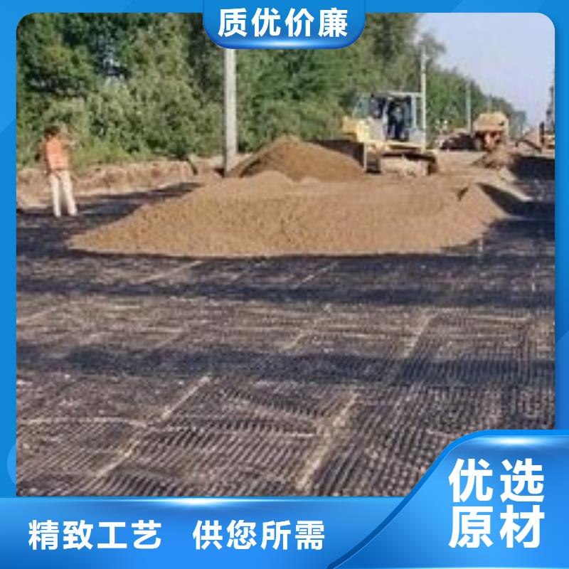 pp焊接土工格栅三维植被网源头实体厂商