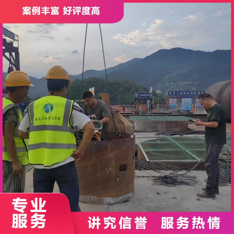 潜水员服务公司本地潜水队伍