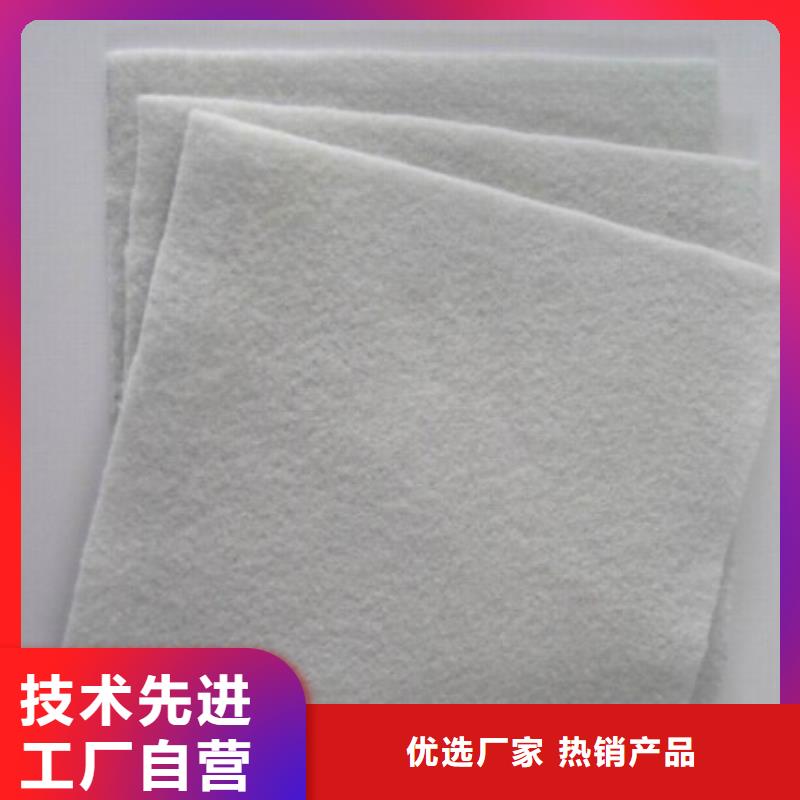 土工布钢塑土工格栅品牌专营