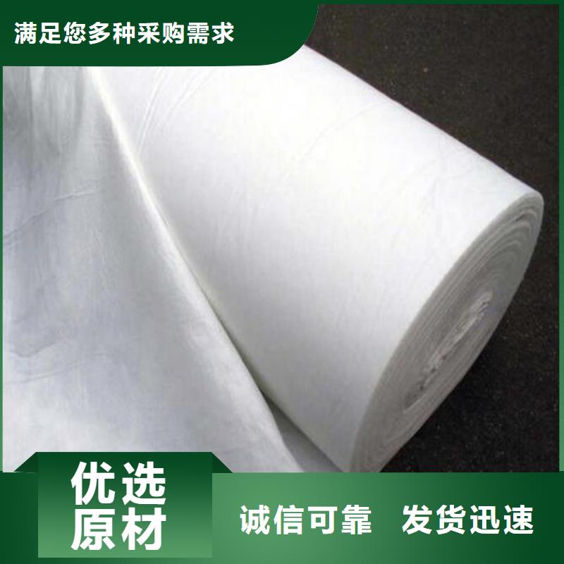长丝土工布丙纶土工布实力厂家-厂家直销