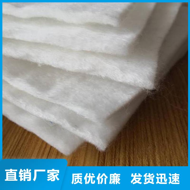 长丝土工布丙纶土工布实力厂家-厂家直销