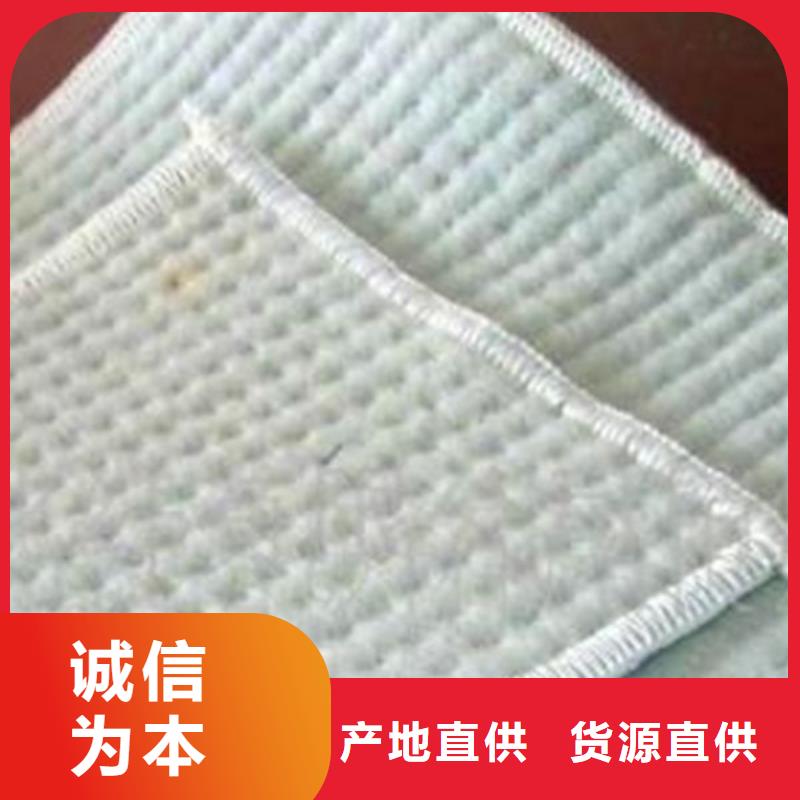 垃圾填埋防水毯报价