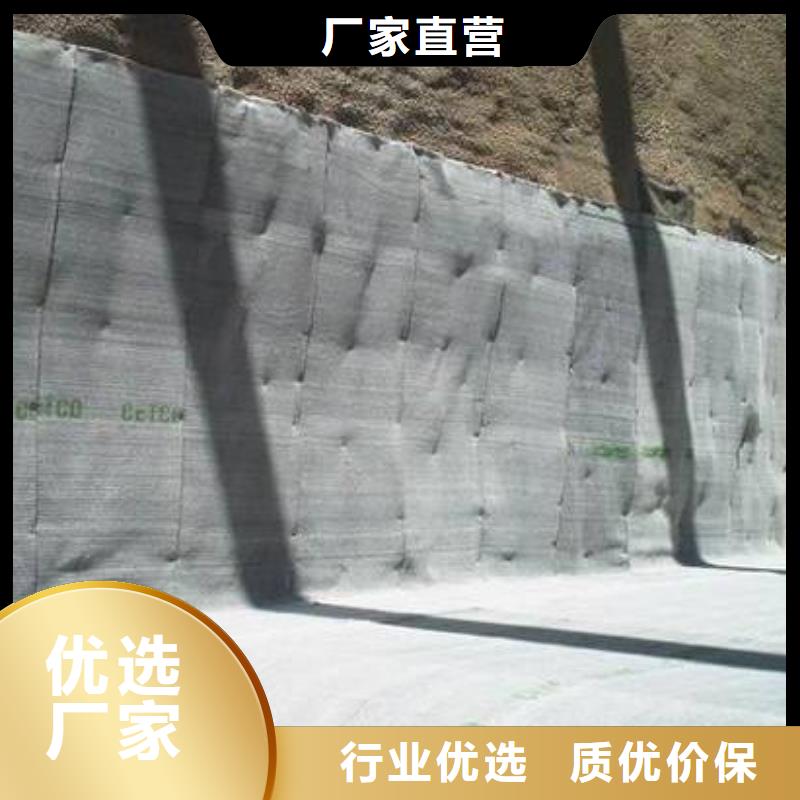 防渗水防水毯规格型号齐全