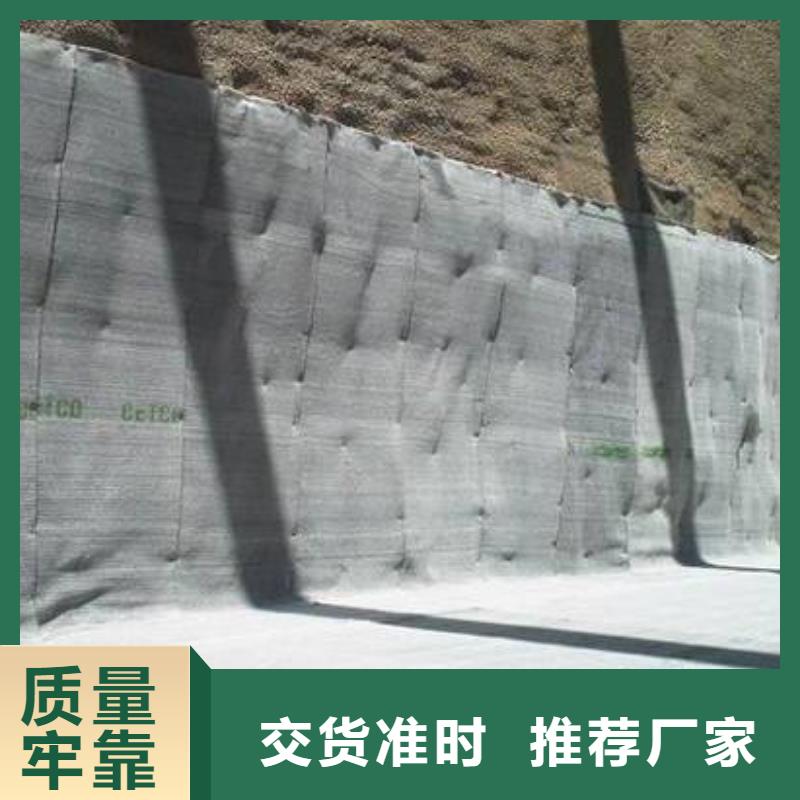 隧道膨润土防水毯价格&2025报价