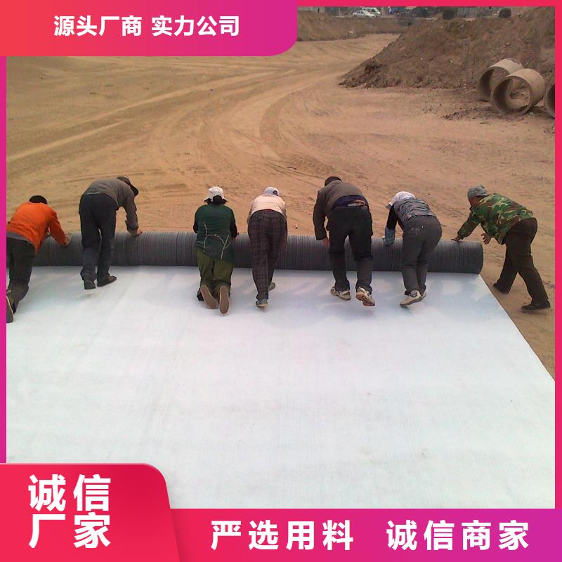 膨润土防水毯三维土工网垫匠心制造
