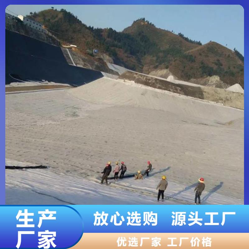 隧道膨润土防水毯价格&2025报价