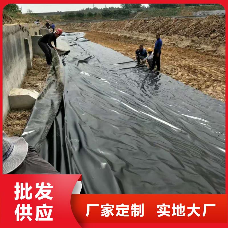 一布一膜复合土工膜厂家