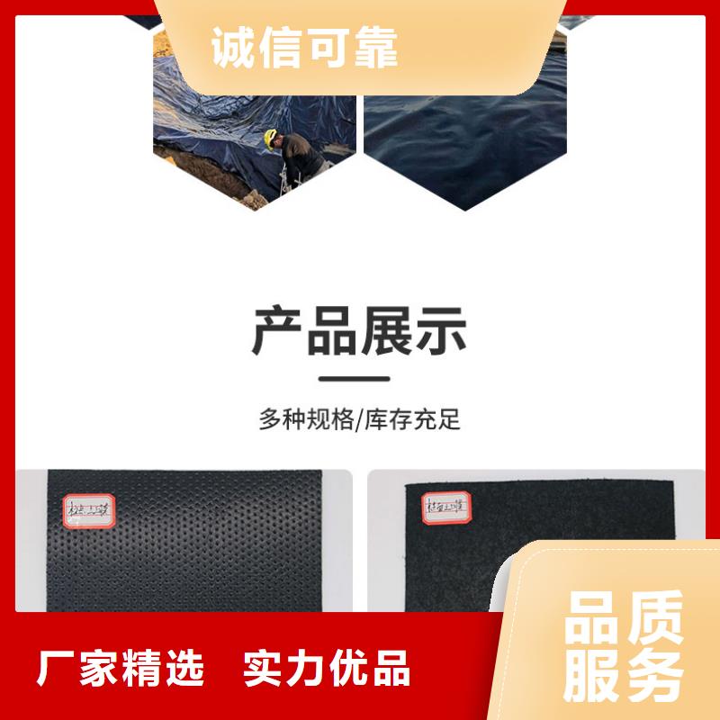 柱点糙面土工膜厂家
