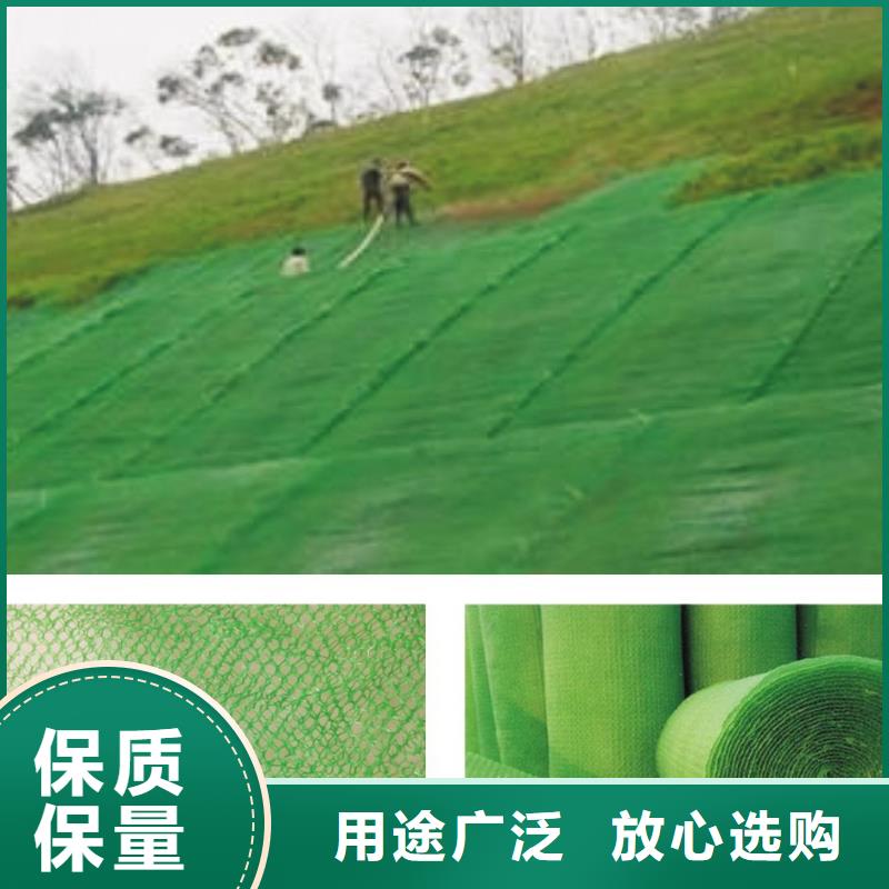 20252025边坡防护三维植被网生产厂家-现货供应