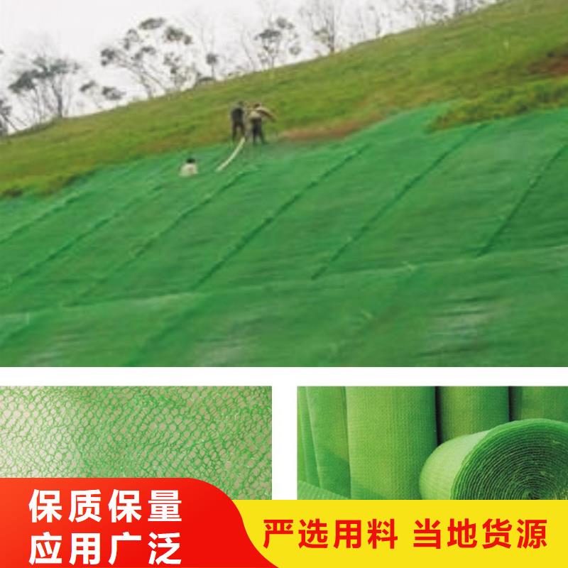 20252025三维植被网垫价格-多少钱一平