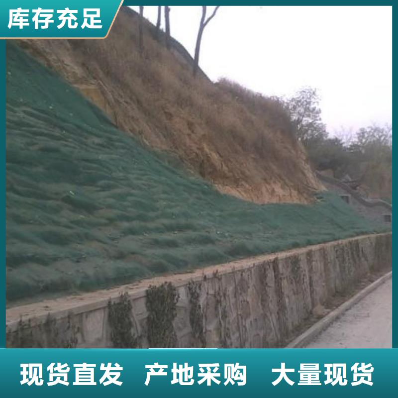 20252025塑料三维植被网规格型号齐全-可定制