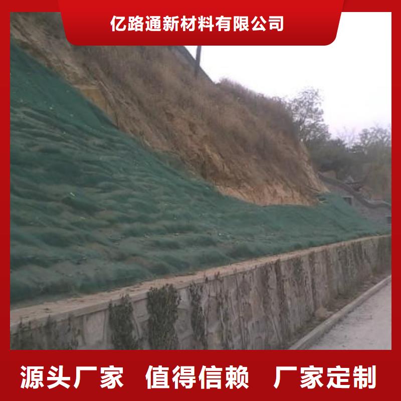 EM4三维植被网绿化植被网型号齐全-可定制加工