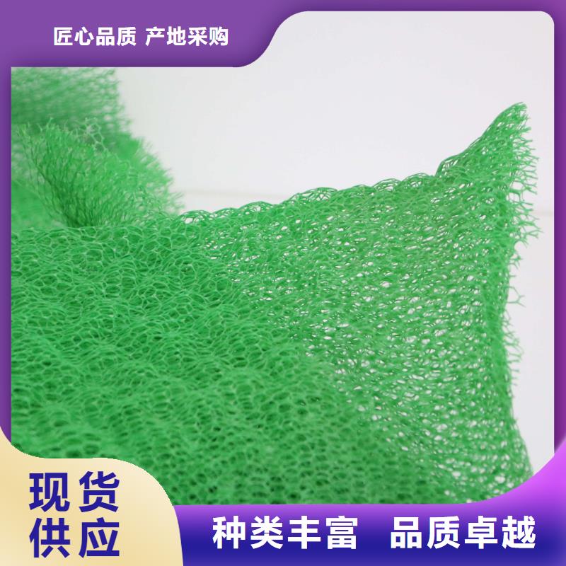 多规格三维植被网价格/报价