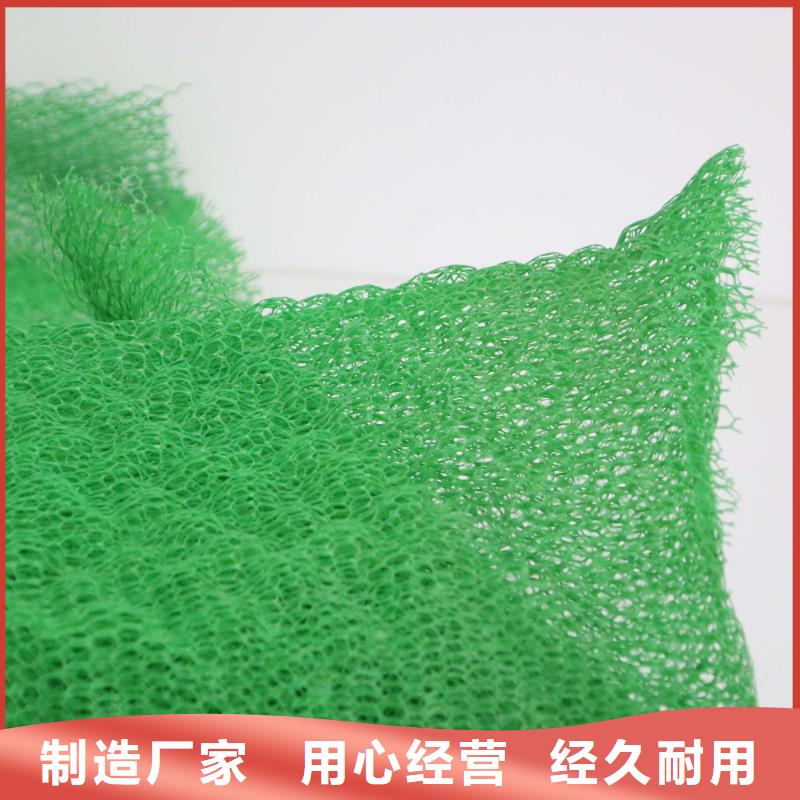 20252025塑料三维植被网价格-多少钱一平