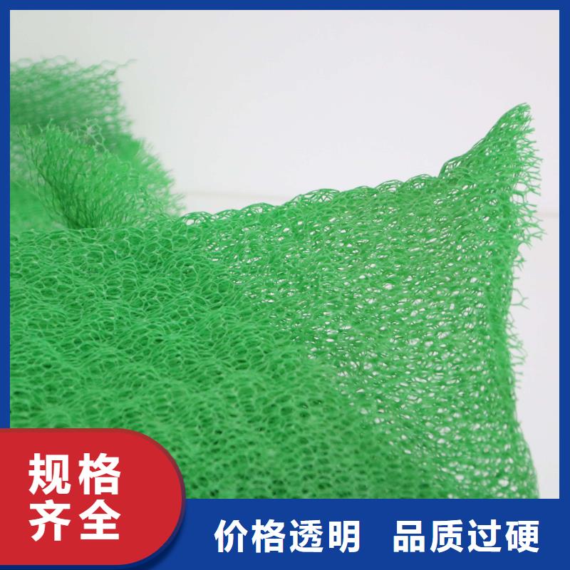 20252025塑料三维植被网价格-多少钱一平