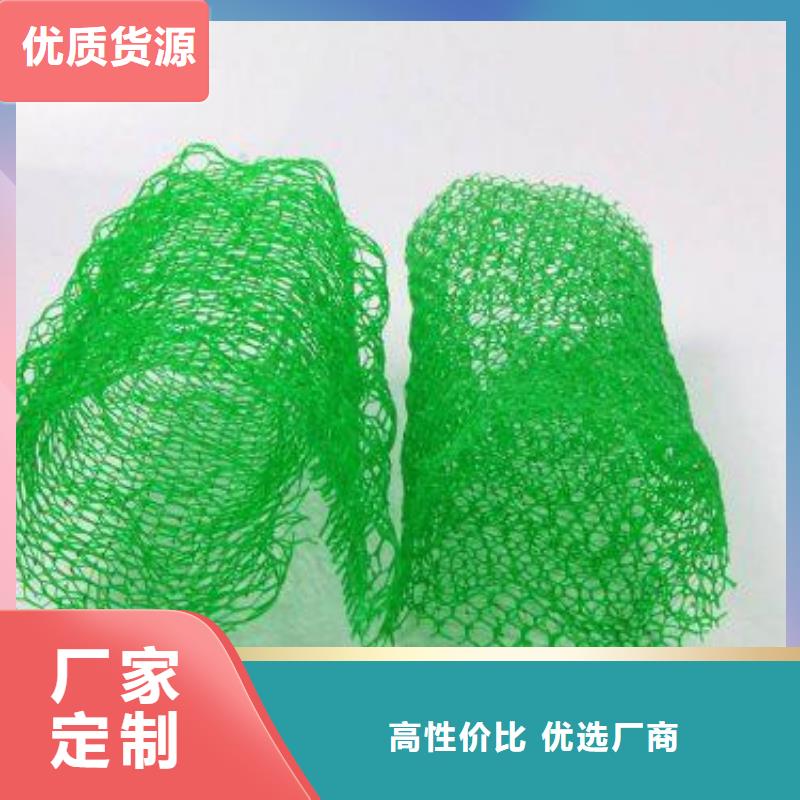 20252025三维植被网垫生产厂家-现货供应