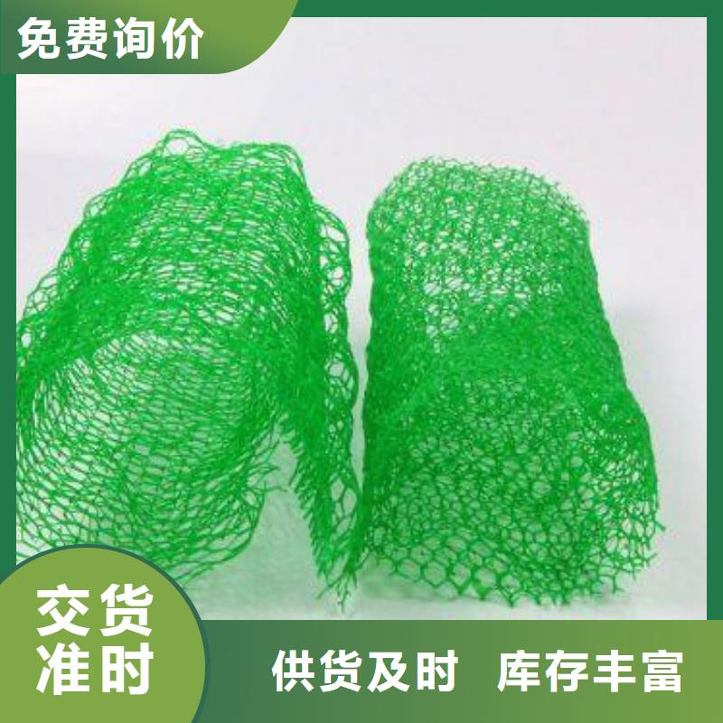 三维植被网护坡土工网品质保障价格合理