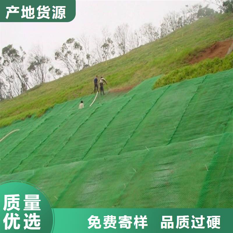 20252025固土绿化三维植被网价格-多少钱一平