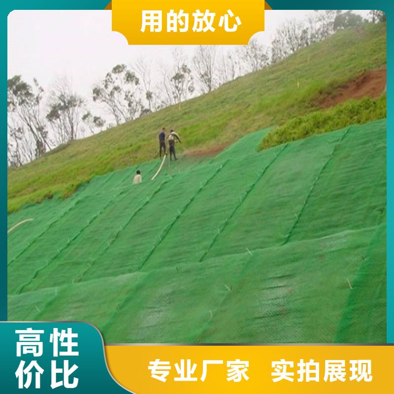 三维植被网,土工布好厂家有担当