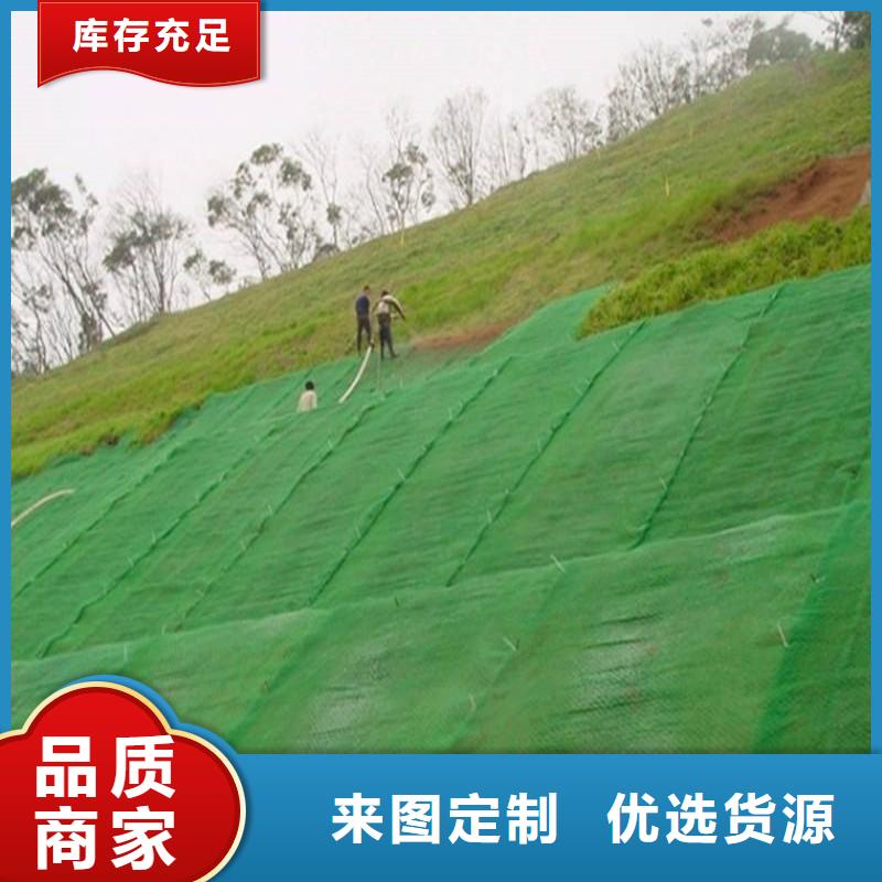 20252025塑料三维植被网价格-多少钱一平