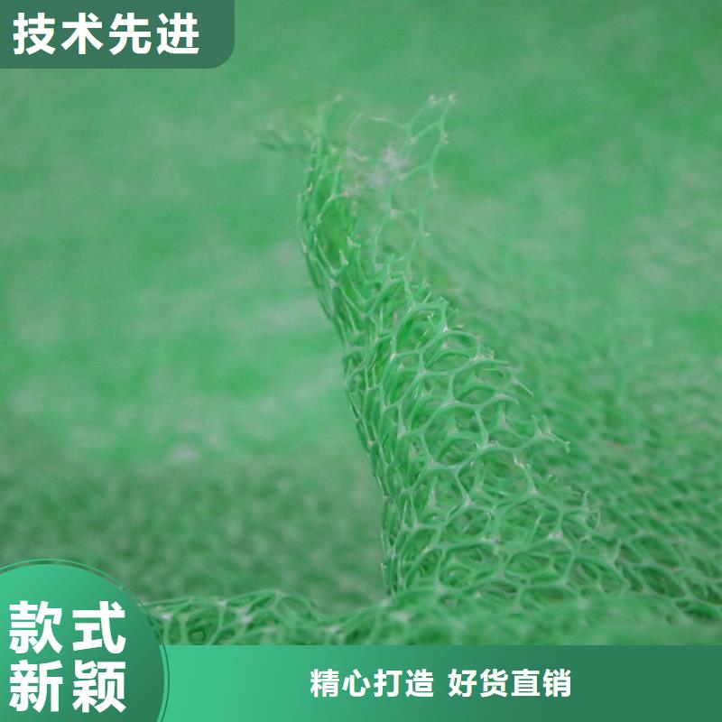 20252025塑料三维植被网价格-多少钱一平
