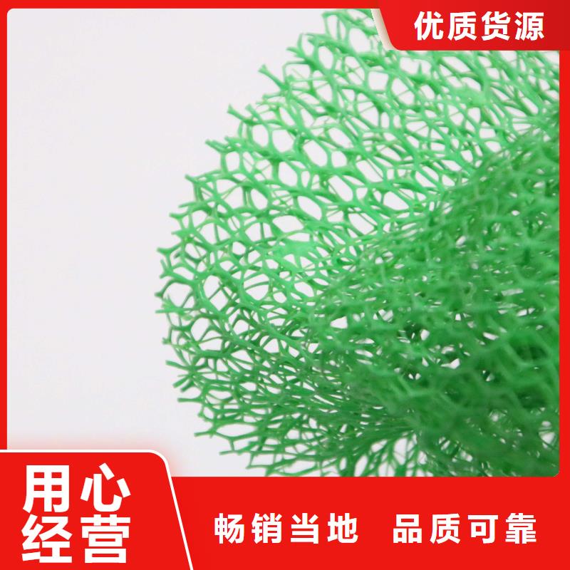 多规格三维植被网价格/报价