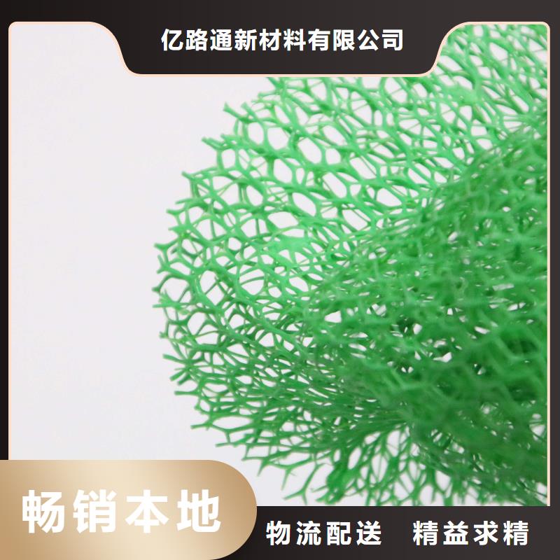 20252025三维植被网垫价格-多少钱一平
