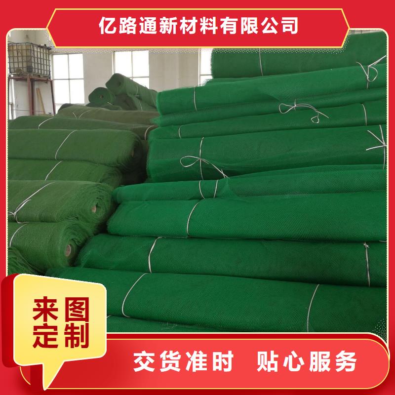 20252025边坡防护三维植被网生产厂家-现货供应