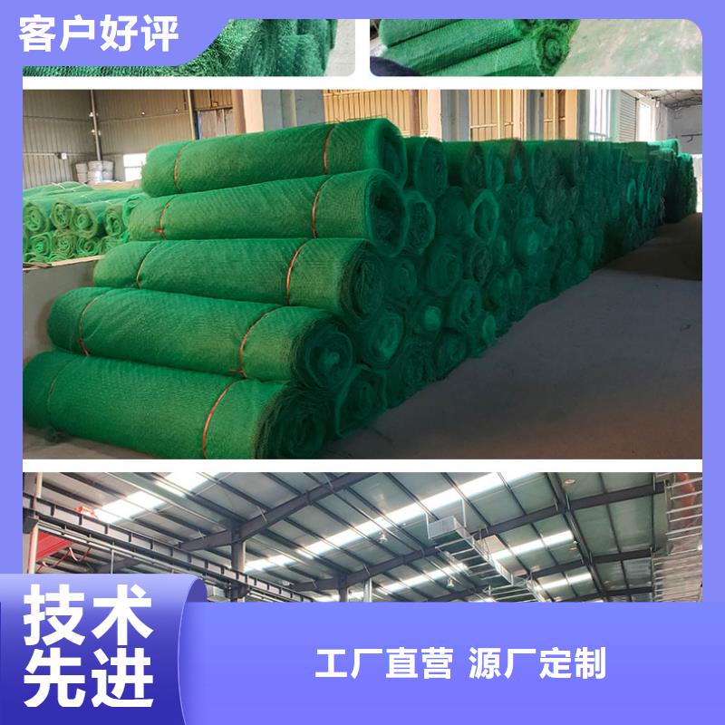 多规格三维植被网价格/报价