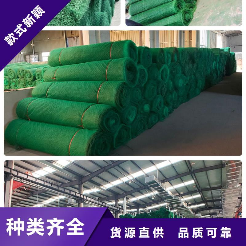 绿色三维植被网生产厂家哪家好