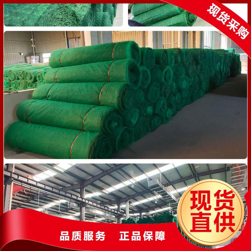 EM4三维植被网绿化植被网型号齐全-可定制加工
