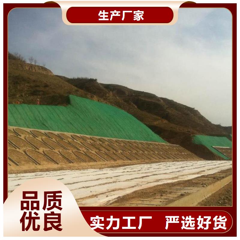 20252025多规格三维植被网垫规格型号齐全-可定制