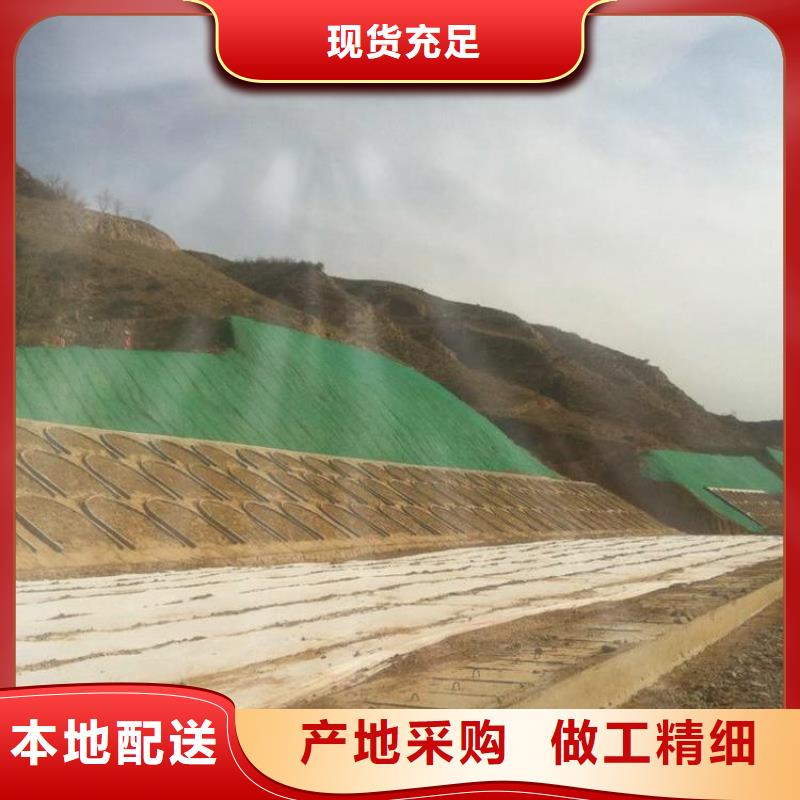 20252025三维植被网垫规格型号齐全-可定制