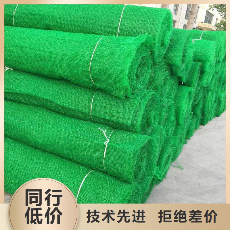 三维植被网土工格栅产品参数