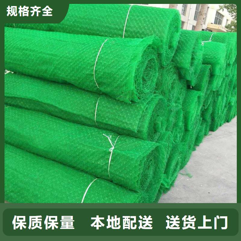 【三维植被网玻纤土工格栅欢迎来厂考察】