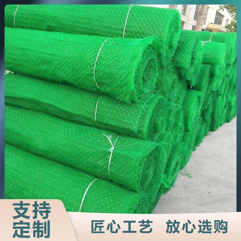 EM4三维植被网塑料植被网型号齐全-可定制加工