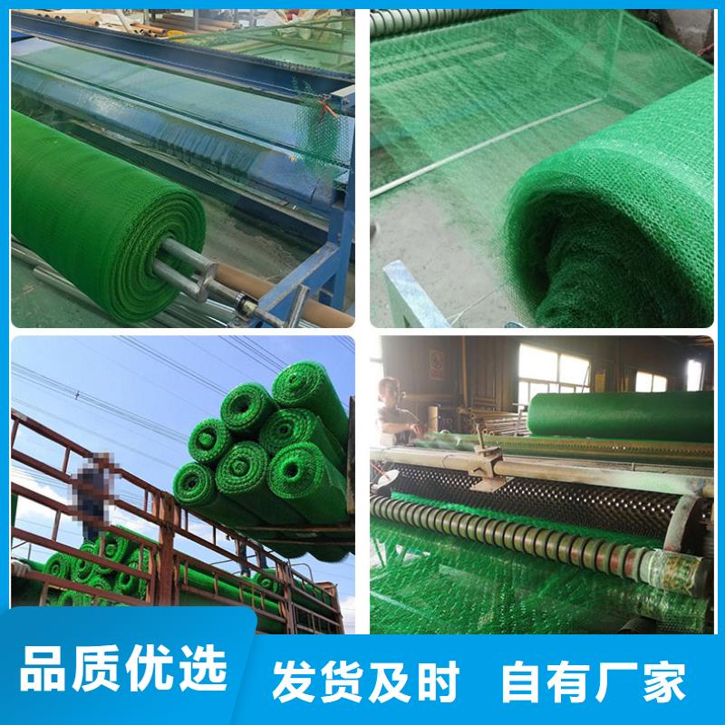 EM5三维植被网绿化植被网型号齐全-可定制加工