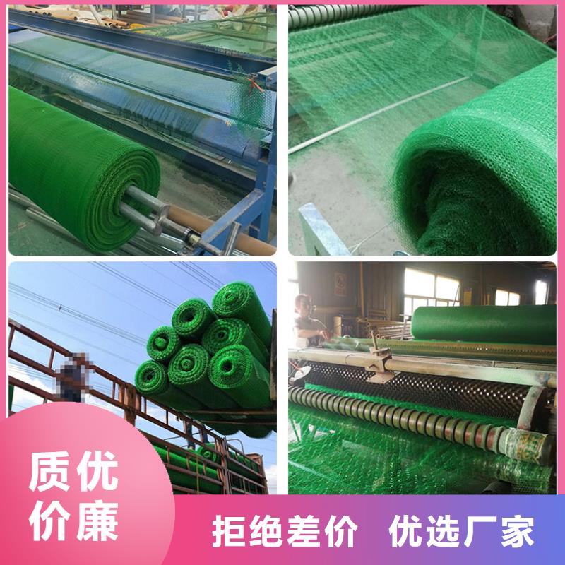 20252025三维植被网垫规格型号齐全-可定制