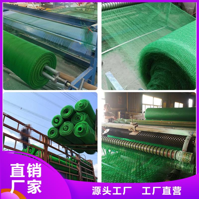 20252025三维植被网垫生产厂家-现货供应