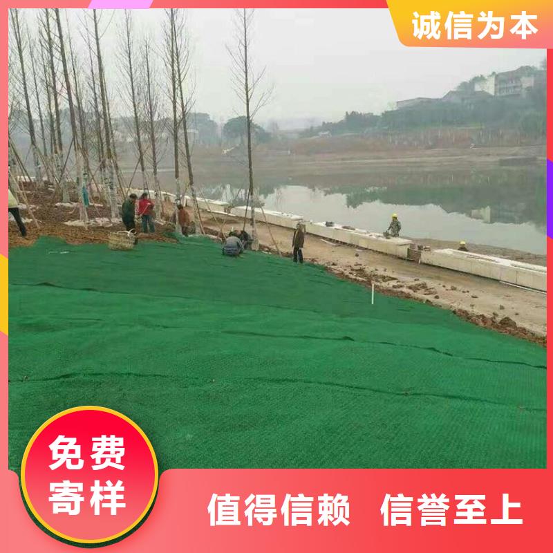 20252025三维植被网垫规格型号齐全-可定制