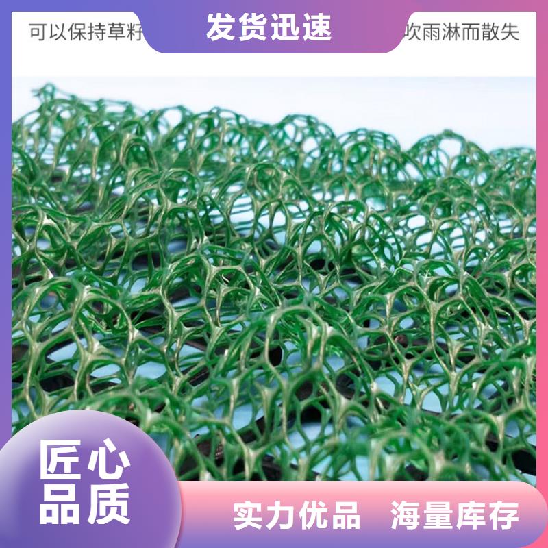 20252025塑料三维植被网价格-多少钱一平