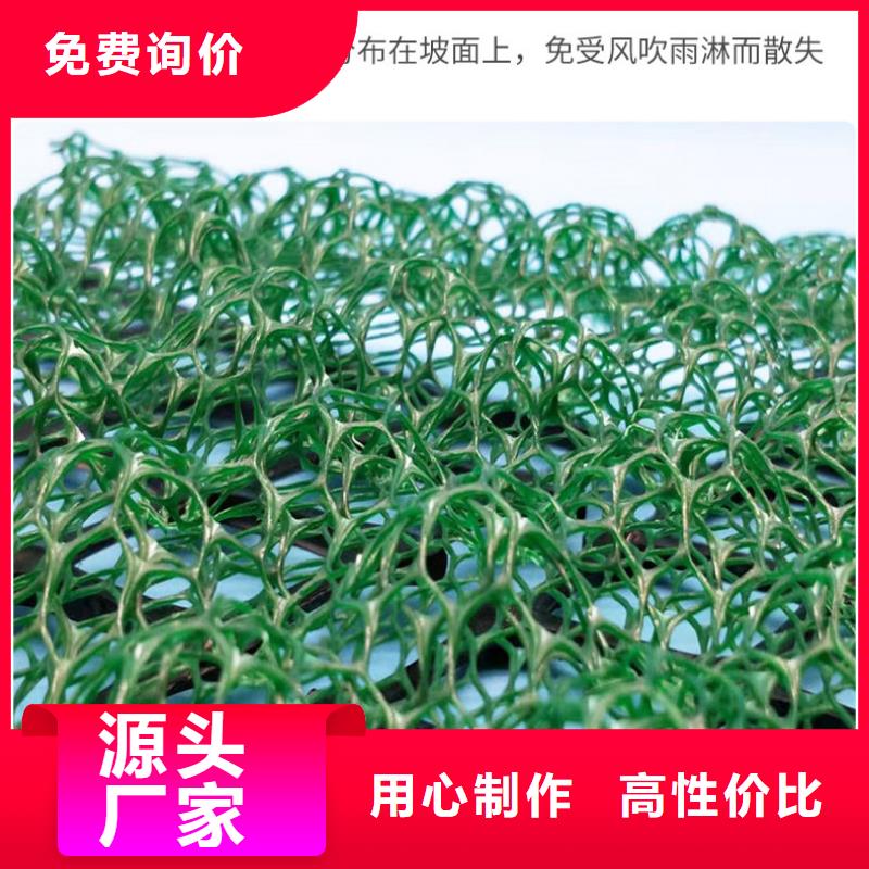 20252025边坡防护三维植被网施工工艺