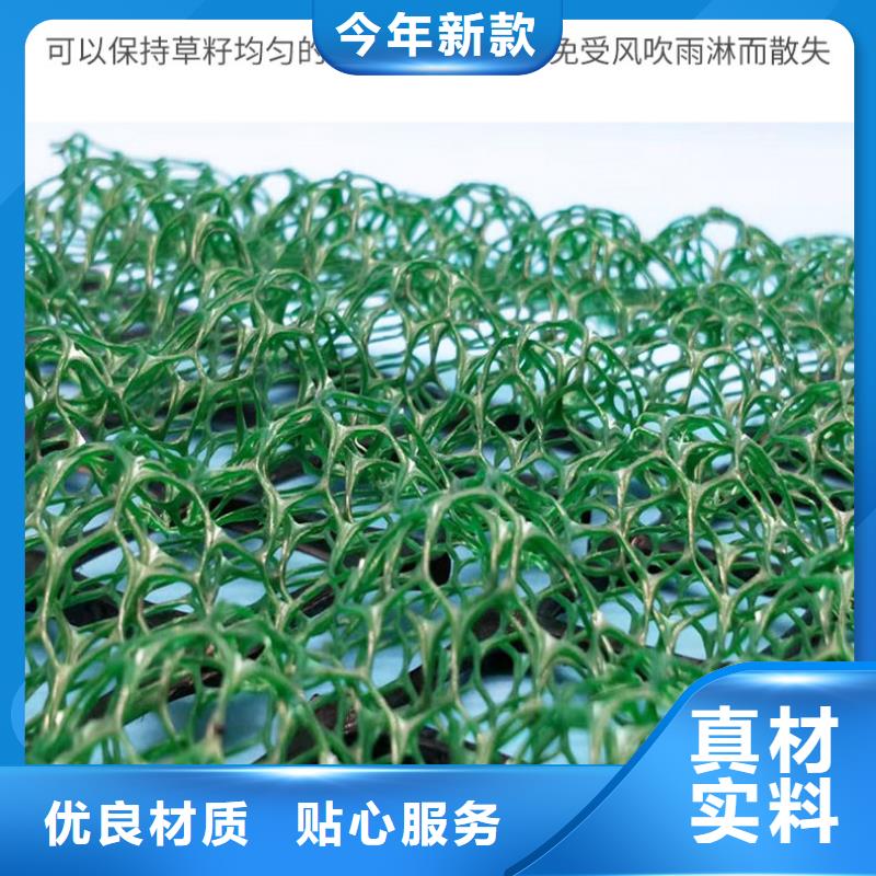 EM3三维植被网塑料植被网型号齐全-可定制加工