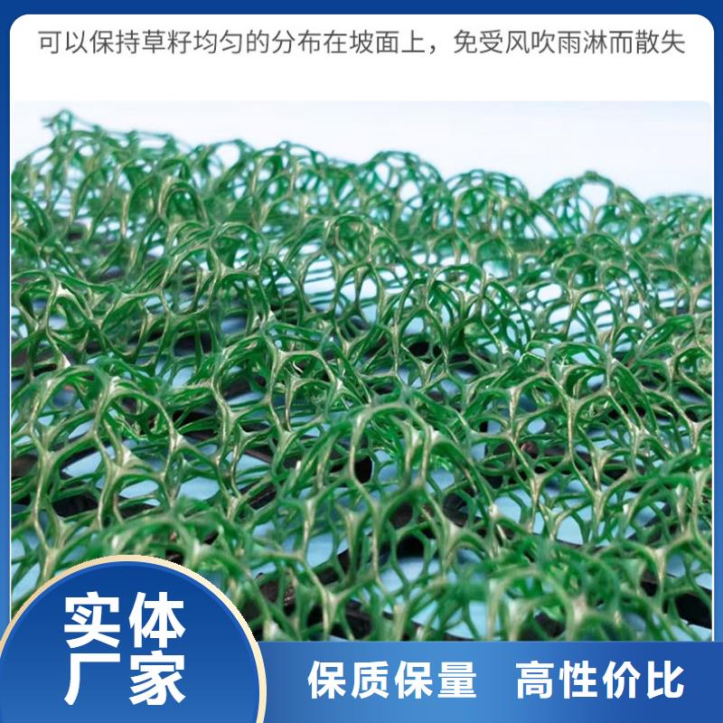2025耐用三维植被网实力厂家/现货供应