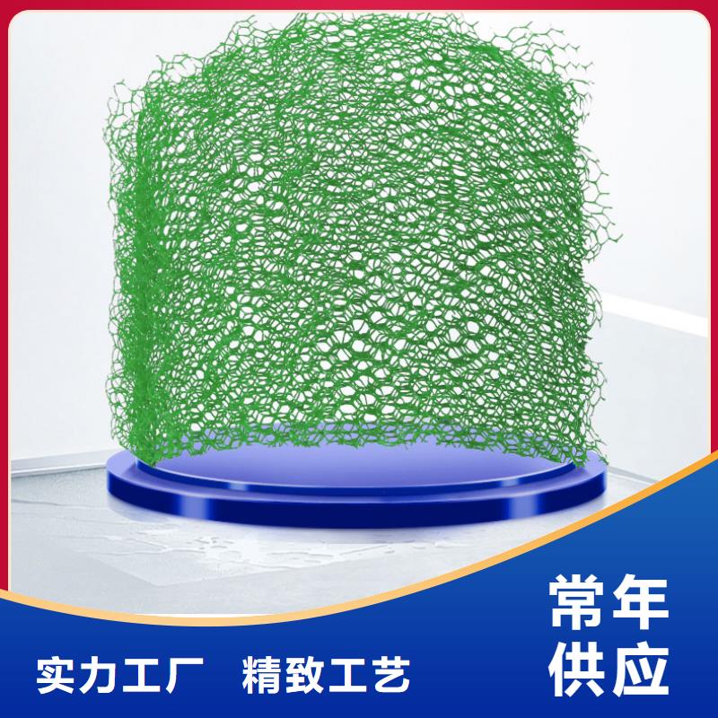 绿化三维植被网实力厂家/现货供应